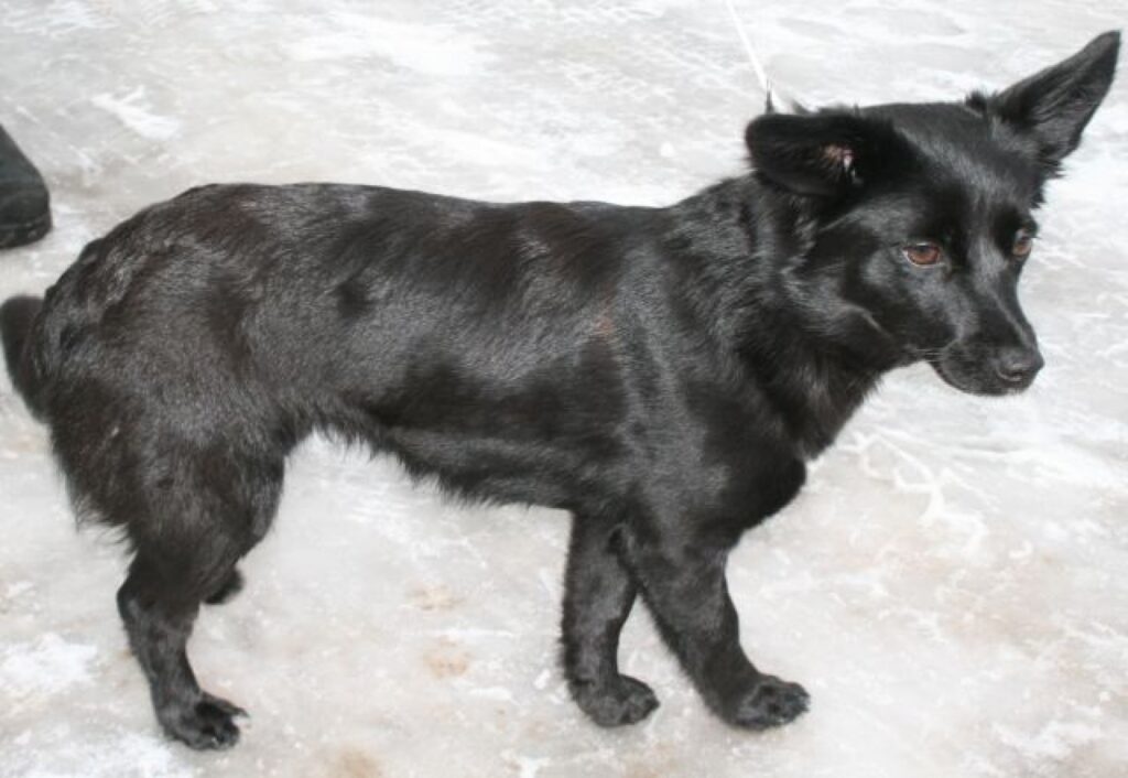 Ja kāds fotogrāfijā atpazīst savu draugu, tad aicināts zvanīt pa mobilo tālruni 26688217. 