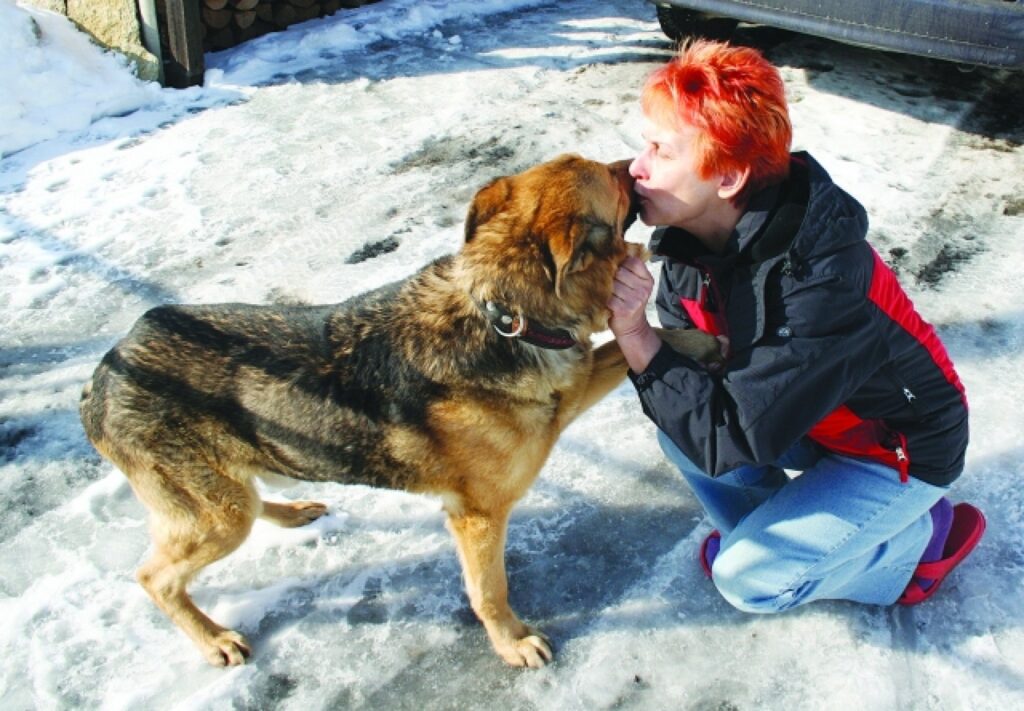 Izglāblais suns beidzot atgriezies savās mājās.
Autors: Aldis Dubļāns