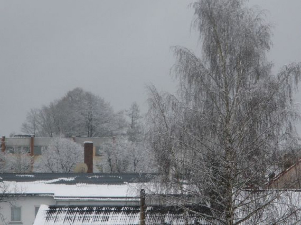 Autors: Sarmīte Ozola