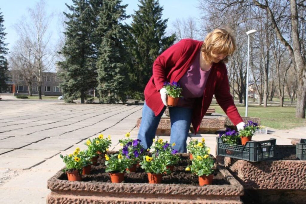 Vakar Valkas domes Pilsētas teritorijas apsaimniekošanas nodaļas dārzniece – meistare Inese Vehi rosījās Lugažu laukumā.
Autors: Inga Karpova