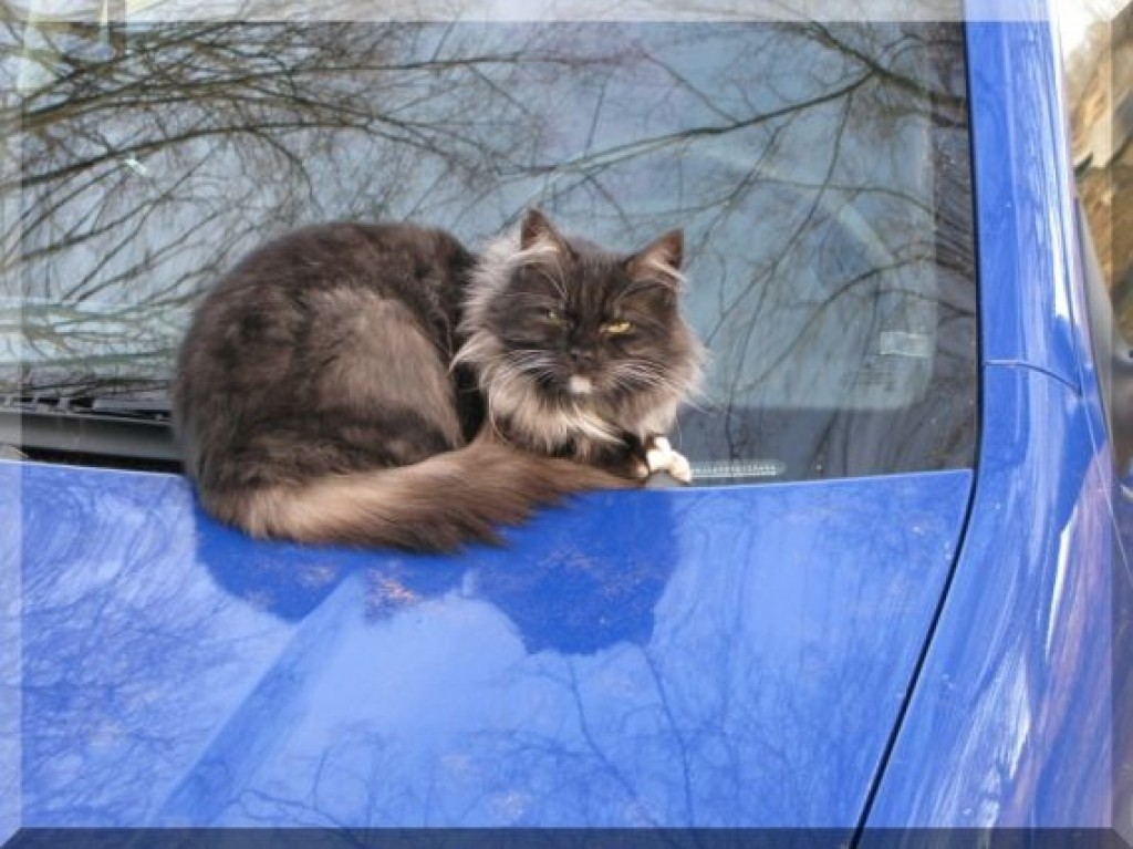 Autors: Sarmīte Ozola