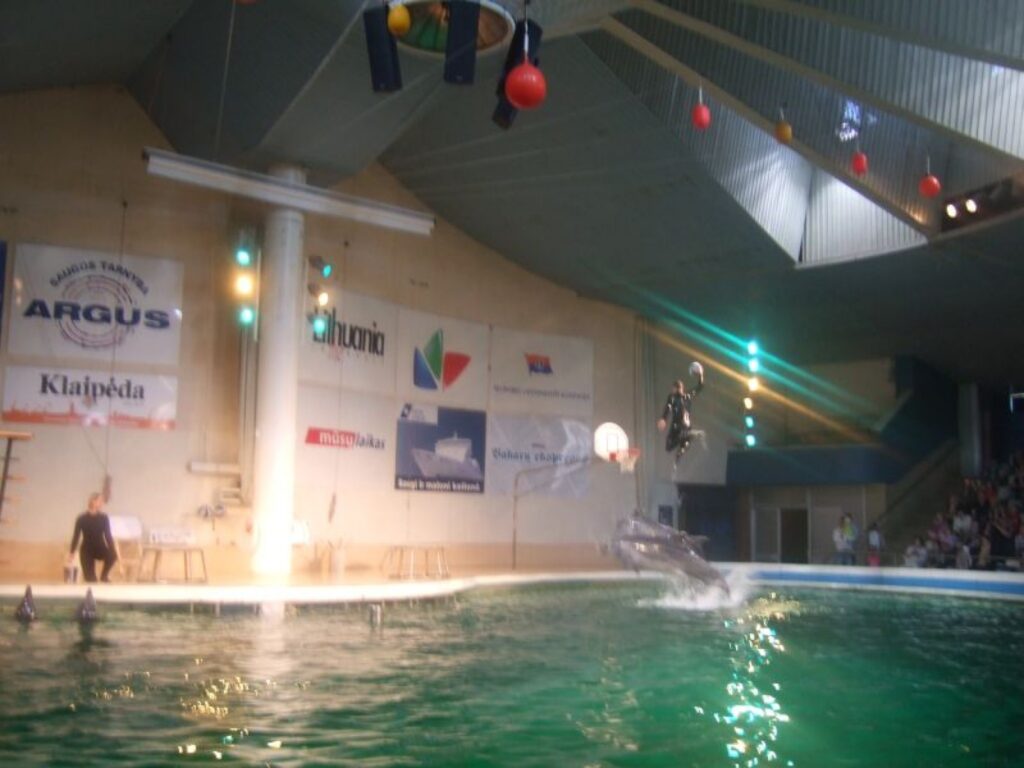 Autors: No personīgā arhīva