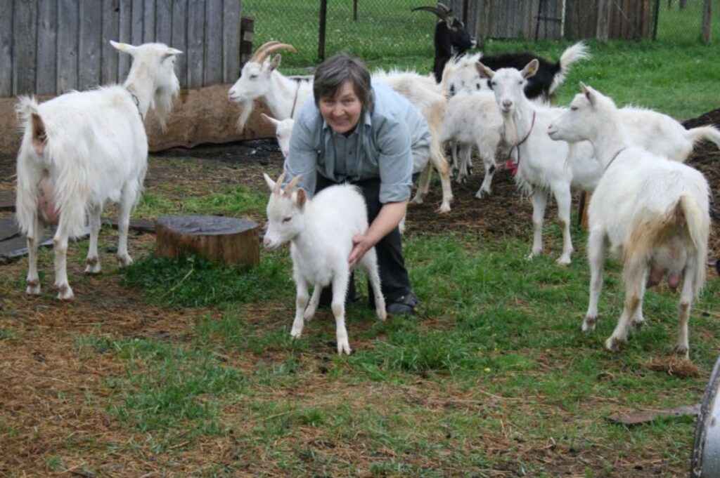 Lūcija Tolkuškina ir vienīgā, kura nolēmusi palikt Miciņos un saimniekot savās mājās.
Autors: Aivars Zilbers