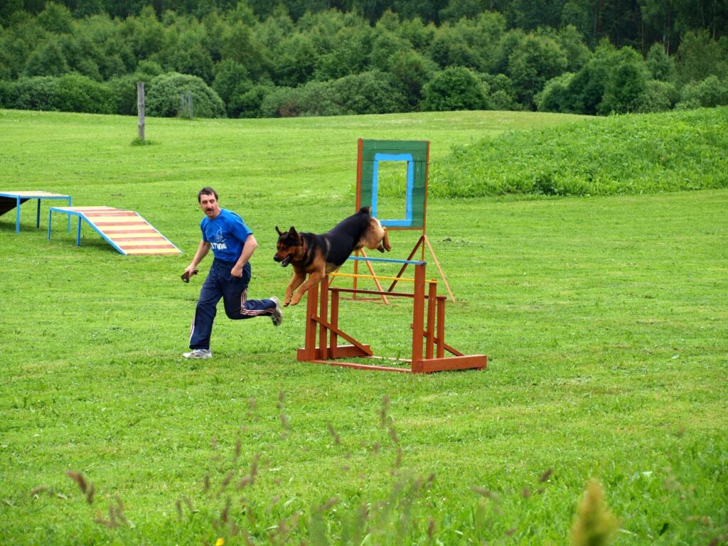 Nikolajs Griškevičs ar Baronu sacensību distancē.
Autors: www.aluksniesiem.lv