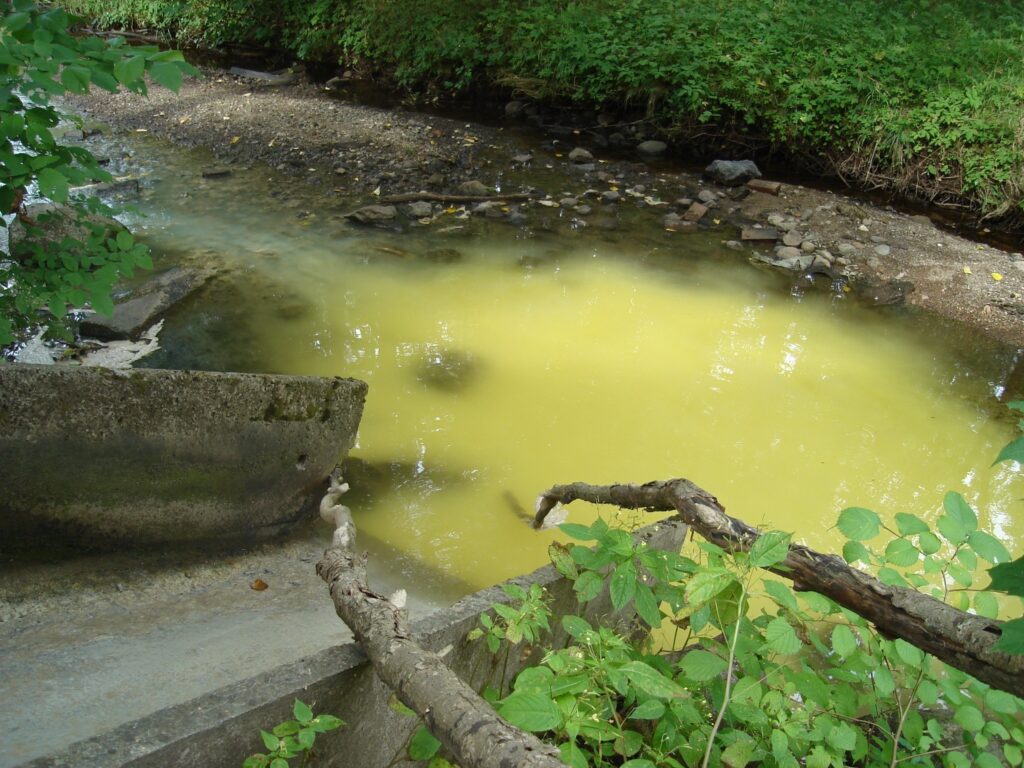  Ceturtdienas, 27. augusta, pēcpusdienā “Ziemeļlatvija” fiksēja šādu skatu. Smiltenē, Abula upē iepretim Jaunajam parkam no kolektora caurules plūda bālgans šķidrums un smirdēja pēc veca piena. 
Autors: Sandra Pētersone