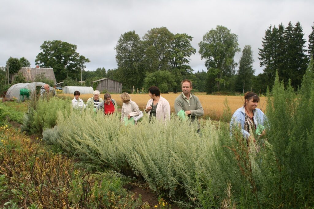 Starp interesentiem, kuri vēlas iepazīties ar augu ekspozīciju, ir arī Valkas un Smiltenes puses lauksaimniecības speciālisti.
Autors: Aivars Zilbers