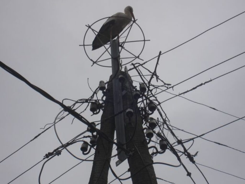 Problēmas veselības aprūpes sistēmā var izpostīt ne vienu vien Latvijas ģimenes ligzdu. Vai piepildīsies teiciens, ka veselību par naudu nenopirksi?
Autors: Sarmīte Ozola