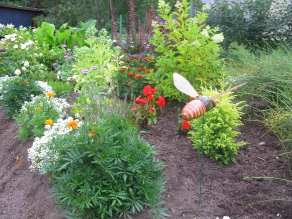 Autors: Sandra Pētersone