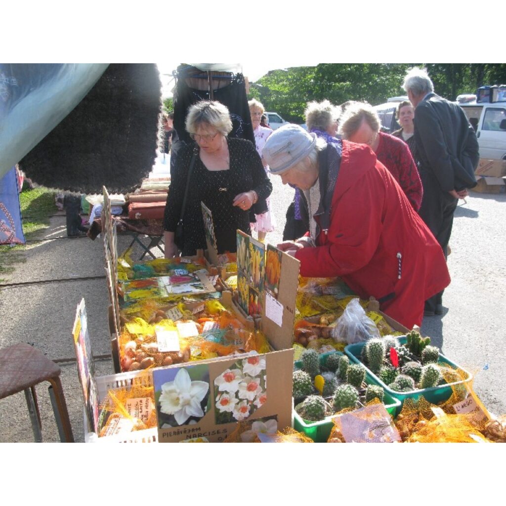 Autors: Sandra Pētersone