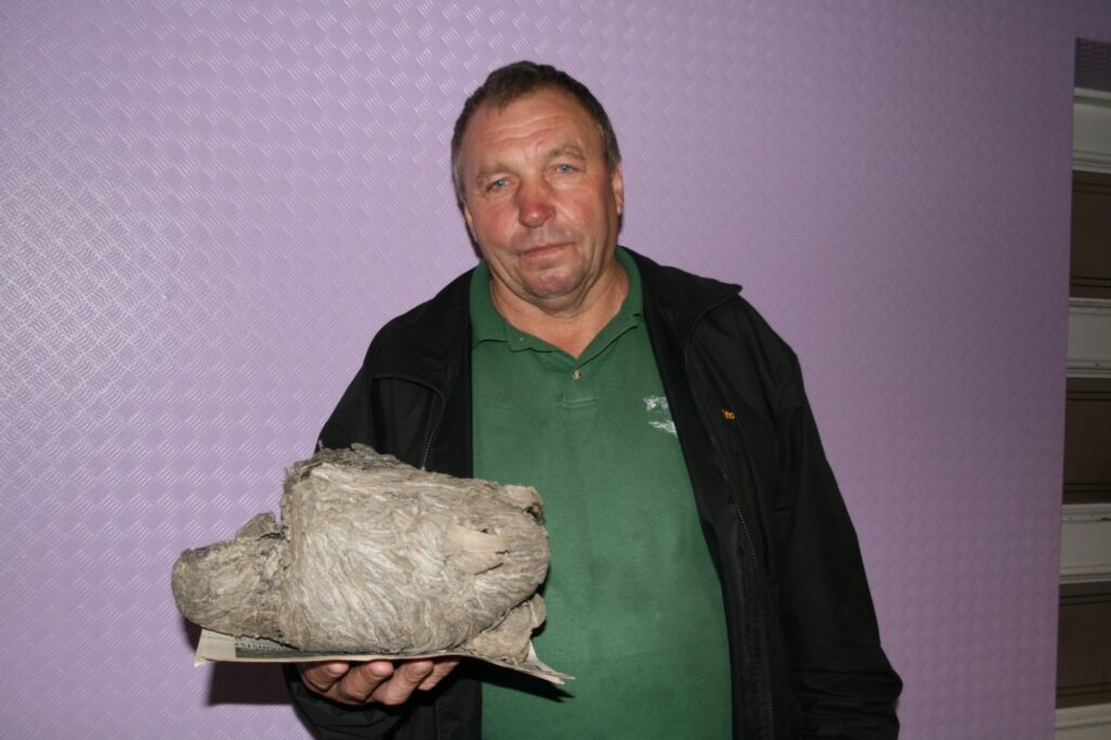 Valcēnietis Egons Sevčuks, nomainot mājas piebūvei jumtu, atradis milzīgu lapseņu pūzni.
Autors: Inga Karpova