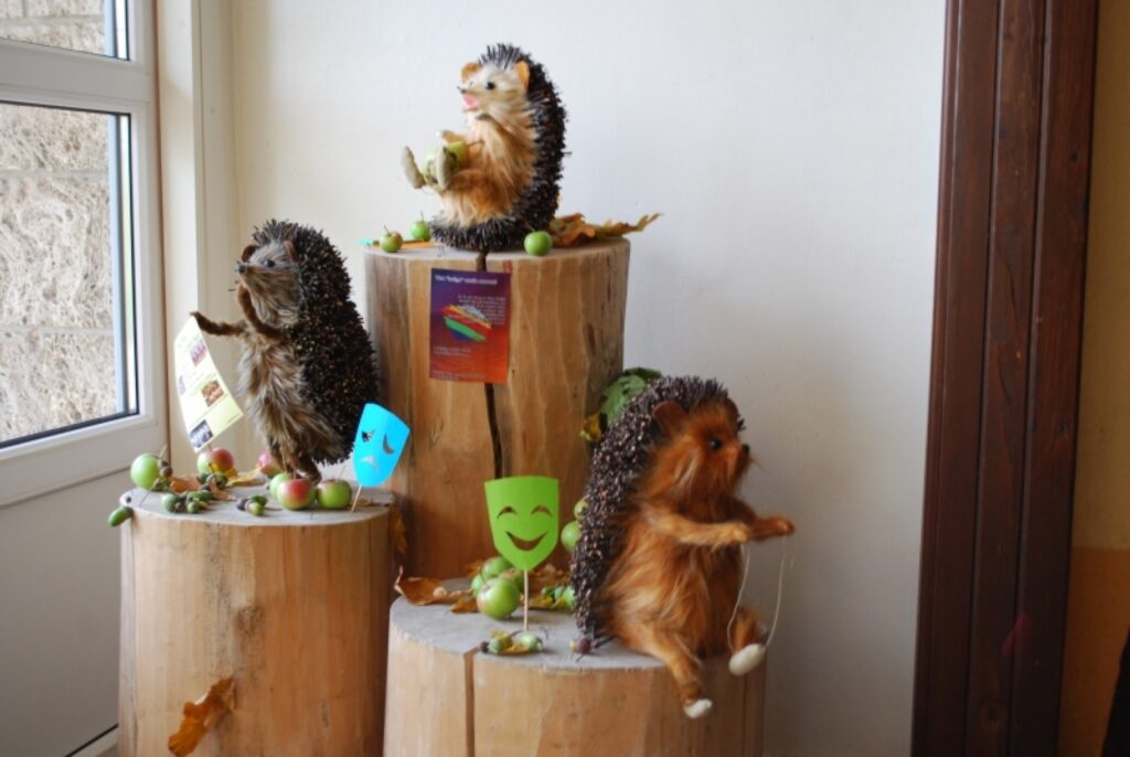 Aluksniesiem.lv raksta attēla aizvietotājs