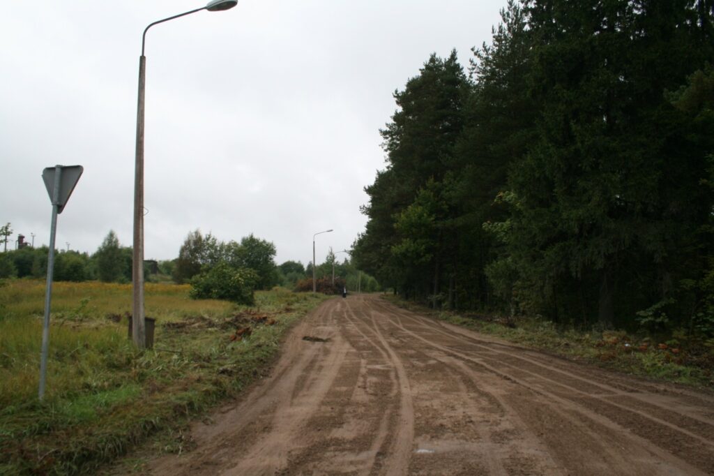 Meža iela, kas ved uz vairākiem lieliem uzņēmumiem, naktīs ir tumsā jau vairākus gadus.
Autors: Aivars Zilbers