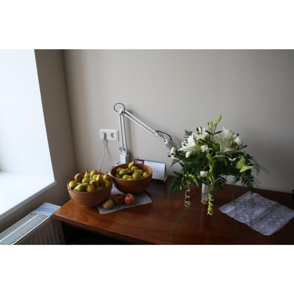 Autors: Ingūna Johansone