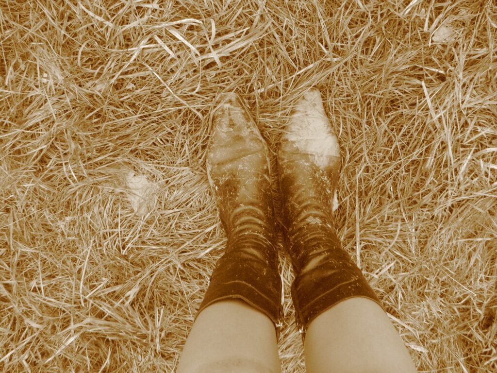 Autors: Dace Jukāma