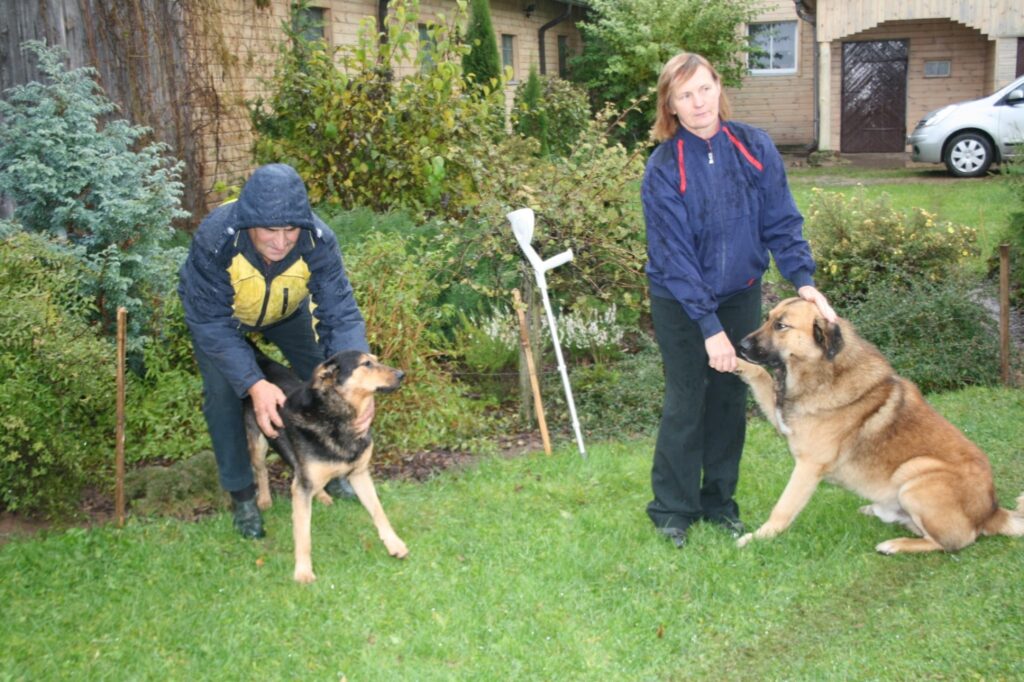  Saimnieku priekam “Pļavnieku” mājas sargā divi augumā lieli suņi. 
Autors: Ingūna Johansone