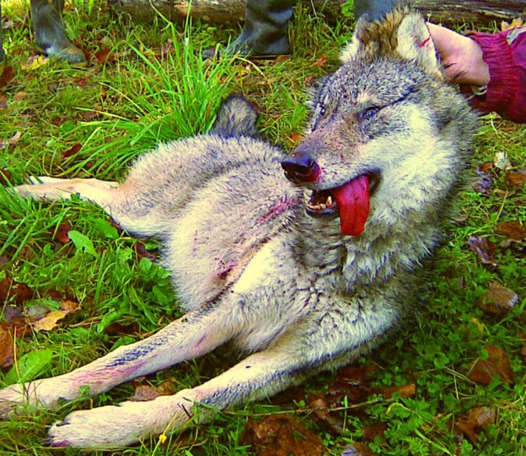 Autors: No personīgā arhīva