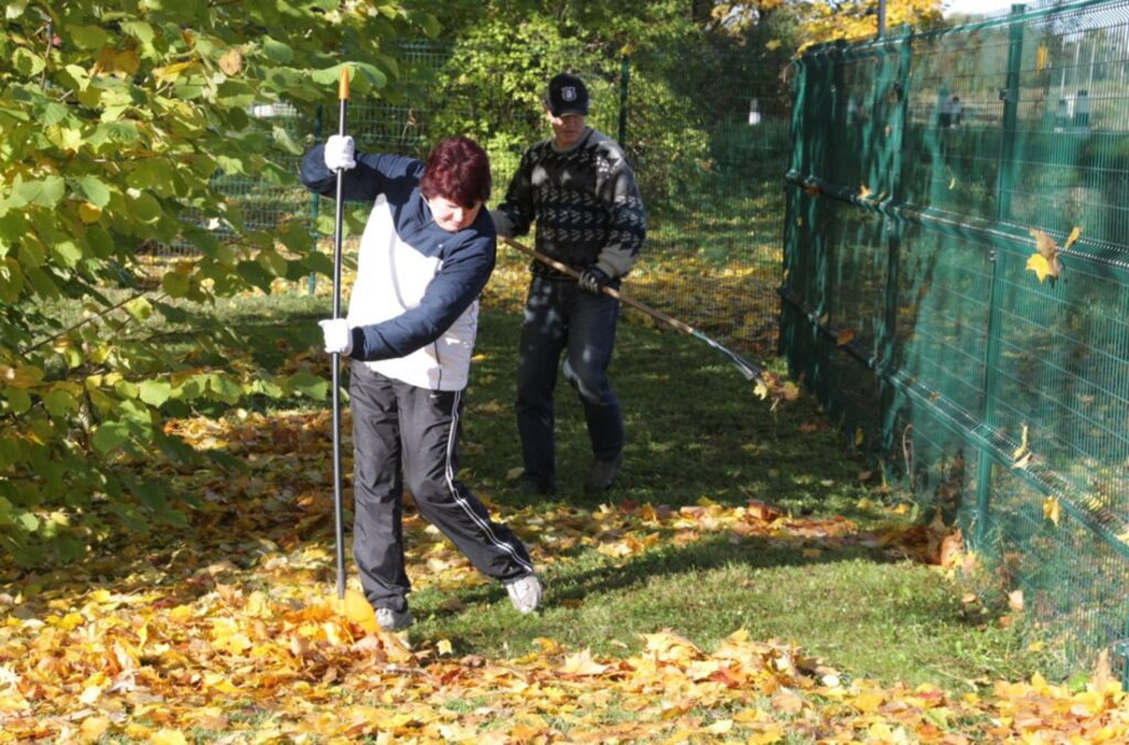 Autors: Aldis Dubļāns