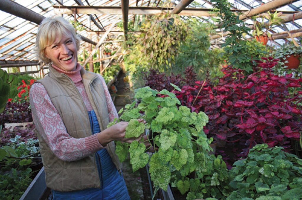 Dārzniece Gundega Gene iesaka izvēlēties telpaugus, kuriem dzīvoklī vai mājā var nodrošināt atbilstošus apstākļus. Uz slinkākajiem puķumīļiem noteikti neapvainosies tolmieja (latīniski Tolmiea menziesii), kas ir ārkārtīgi pacietīgs un ātraudzīgs augs. Šie podiņi sakuplojuši aizvadītās vasaras laikā. Uzmanību piesaista raibās lapas un «jaunā paaudze», kuras bērnība aizrit uz veco lapu virsmas. 
Autors: Agris Samcovs