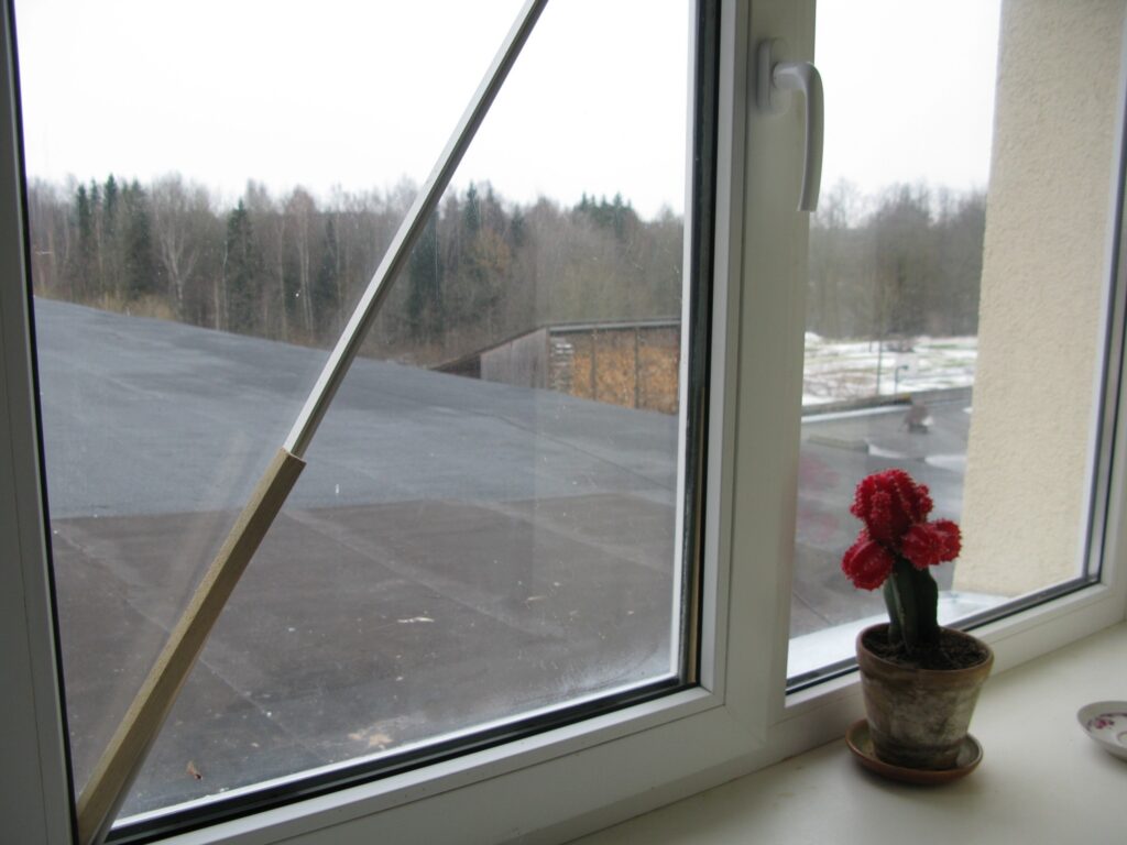 Zagļi pārvietojušies pa jumtiem.
Autors: Sandra Pētersone