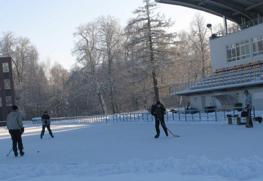 Autors: Inguna Medne