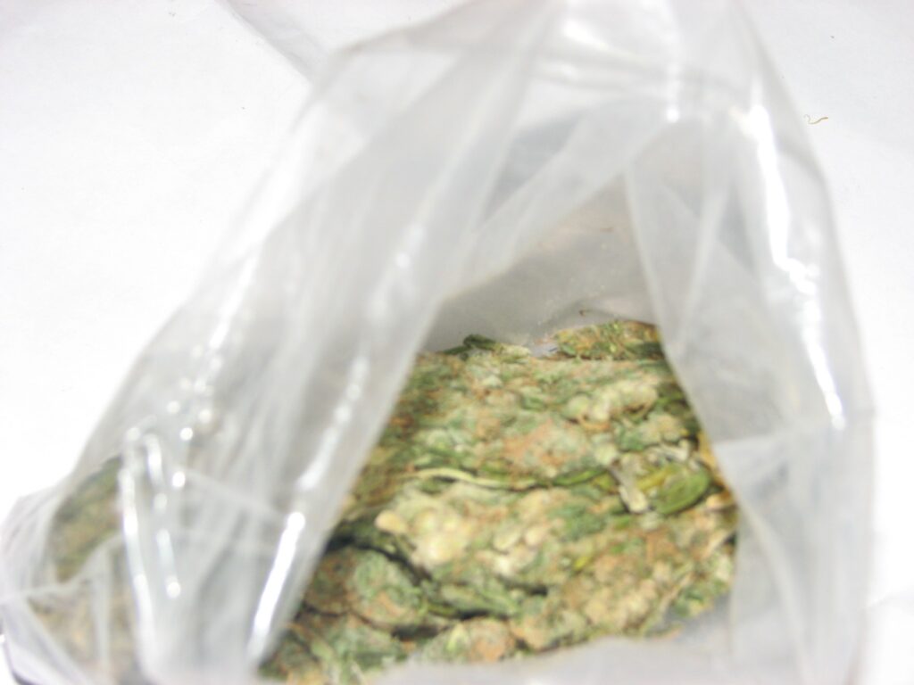 Autors: Vidzemes RPP