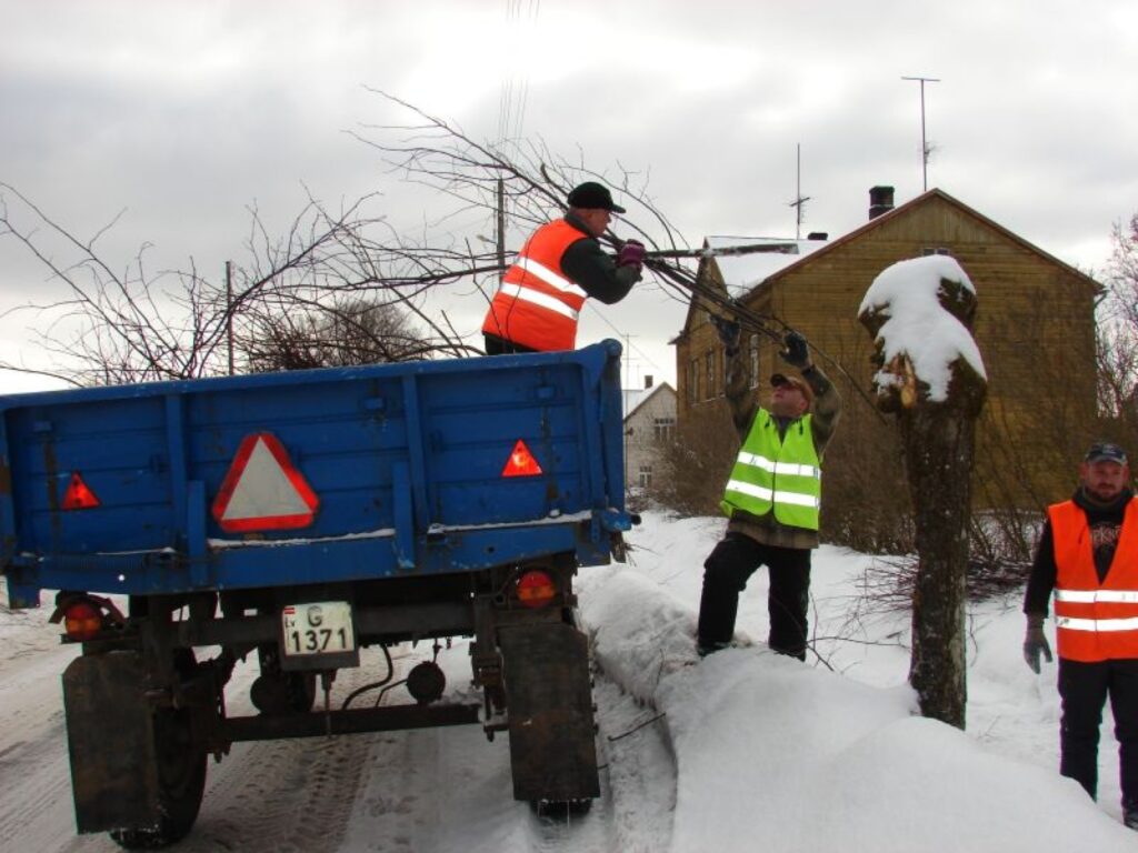 Liepu apzāģēšanā un zaru izvešanā Strenčos strādāja 100 latu stipendijas saņēmēji Ivars Tomašs (no kreisās), Andris Bīraus, Nikolajs Boicovs un Armands Ezeriņš (fotogrāfijā nav redzams).
Autors: Sandra Pētersone