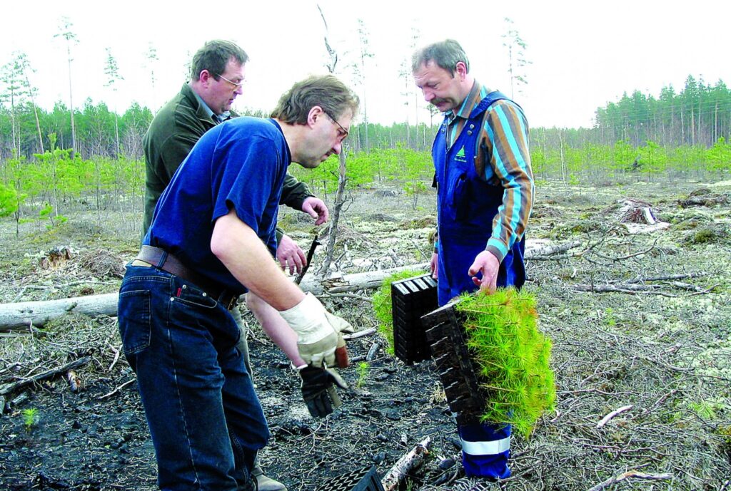 VMD meža reproduktīvā materiāla kontroles daļas vecākais inspektors Ritvars Ozoliņš (centrā) atgādina, ka ikvienam stādāmajam materiālam ir nepieciešami tā izcelsmes dokumenti.
Autors: Aldis Dubļāns