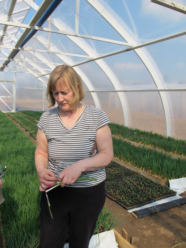 Autors: Ingūna Johansone