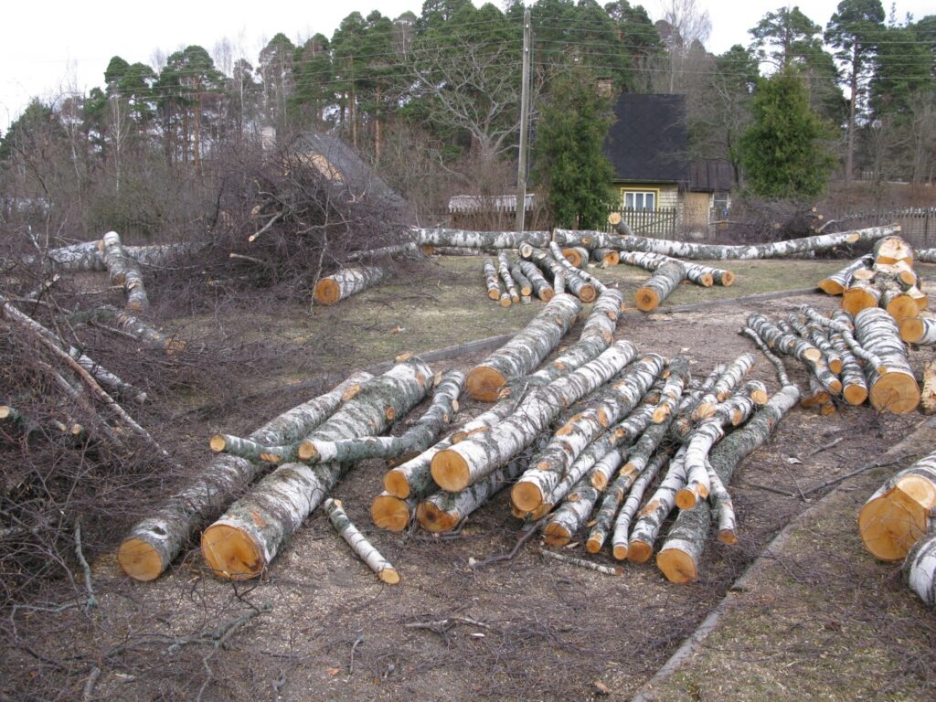 Autors: Sandra Pētersone