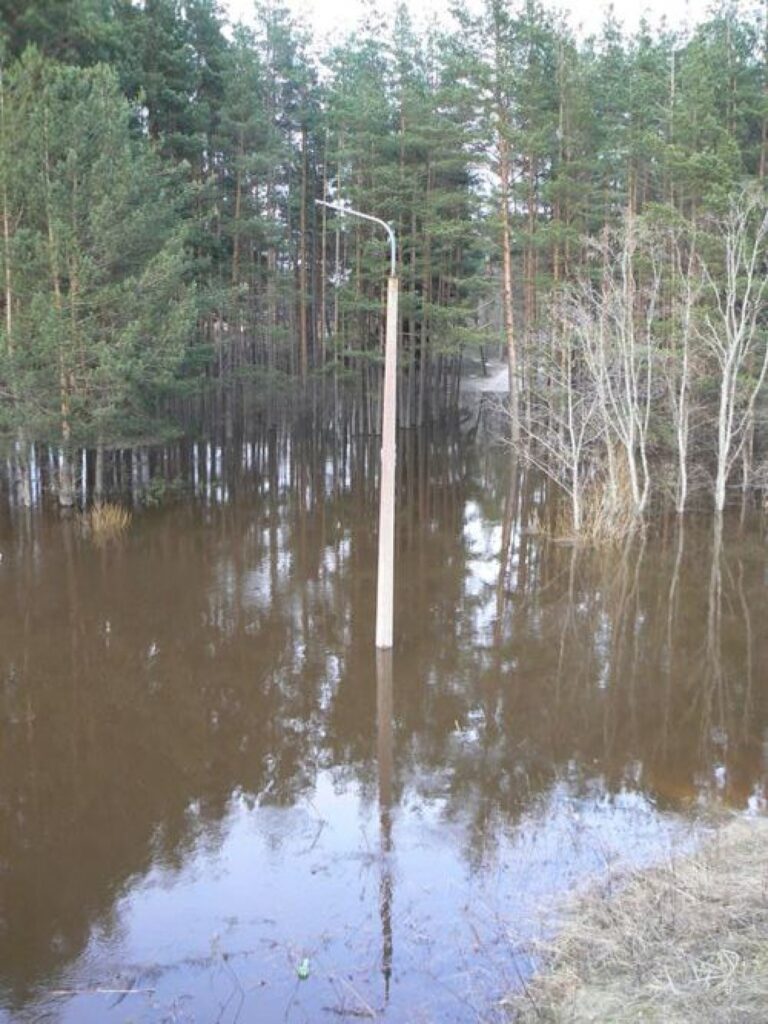 Autors: Valmieras novada dome