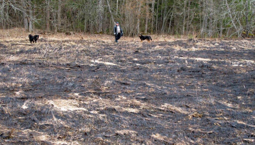 Autors: Aldis Dubļāns