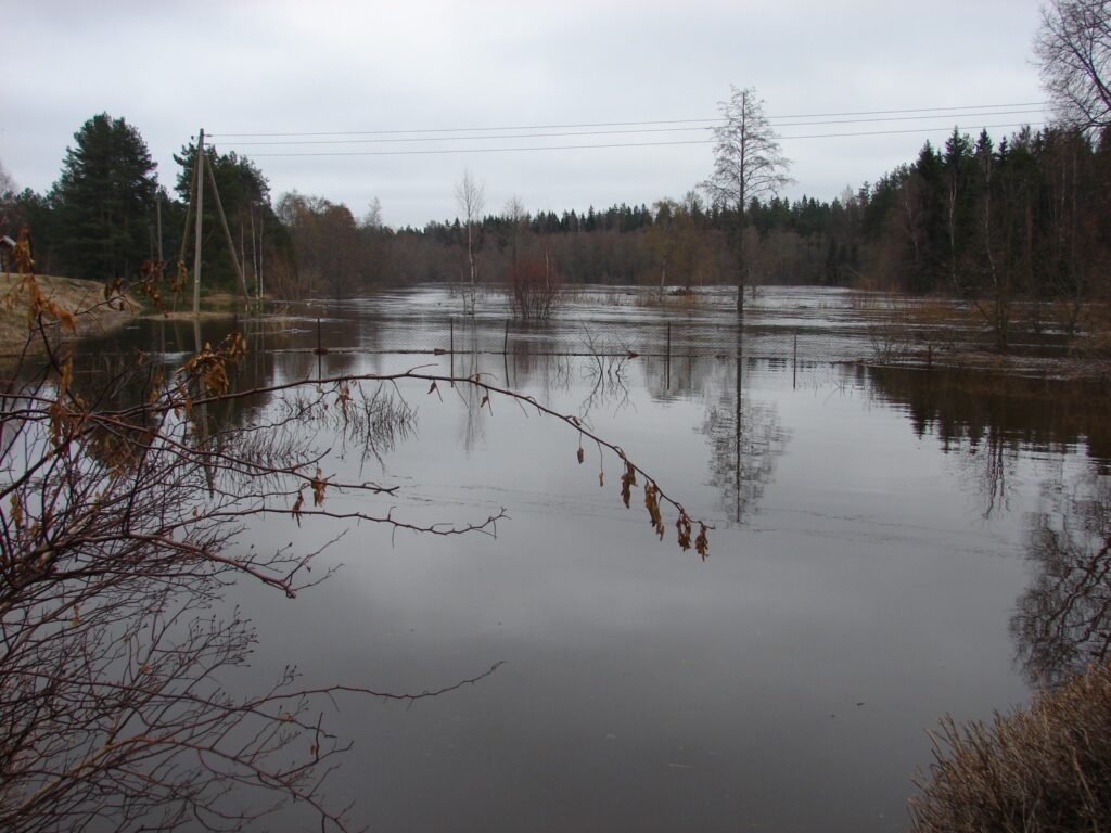 Gauja šopavasar atklājusi savu varenumu un cilvēku bezspēcību plūdu priekšā.  
Autors: Sandra Pētersone