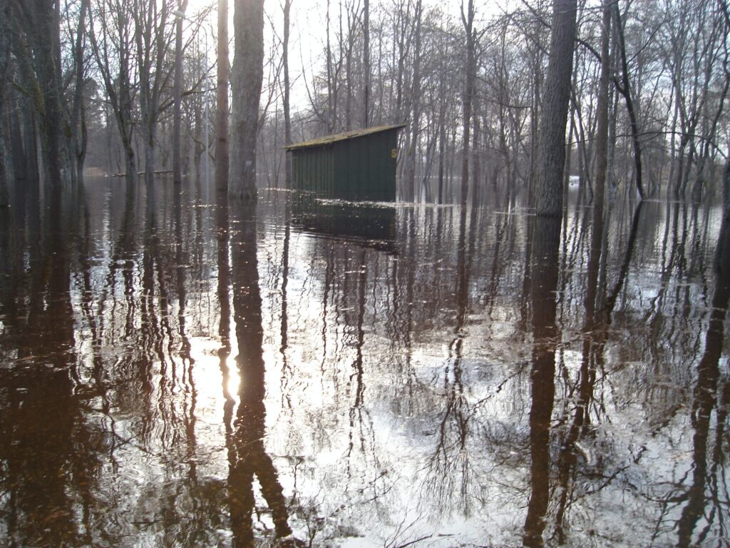 Autors: Sarmīte Ozola