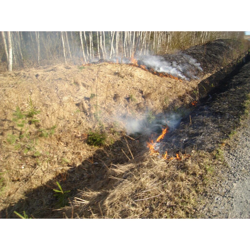 Šādu skatu vakar novēroja ziemellatvija.lv. Uguns savā nodabā 