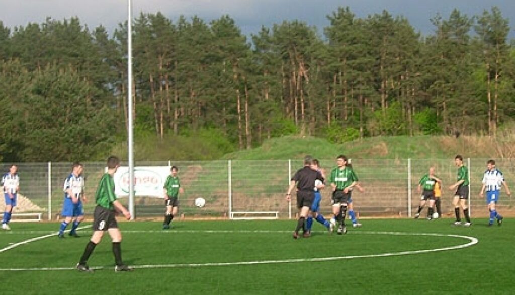 Autors: Valkas novada dome