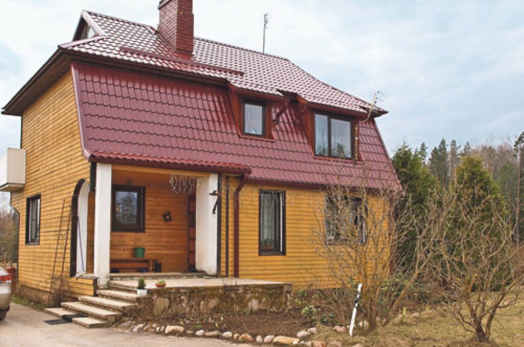 Autors: Dzīvespriekam