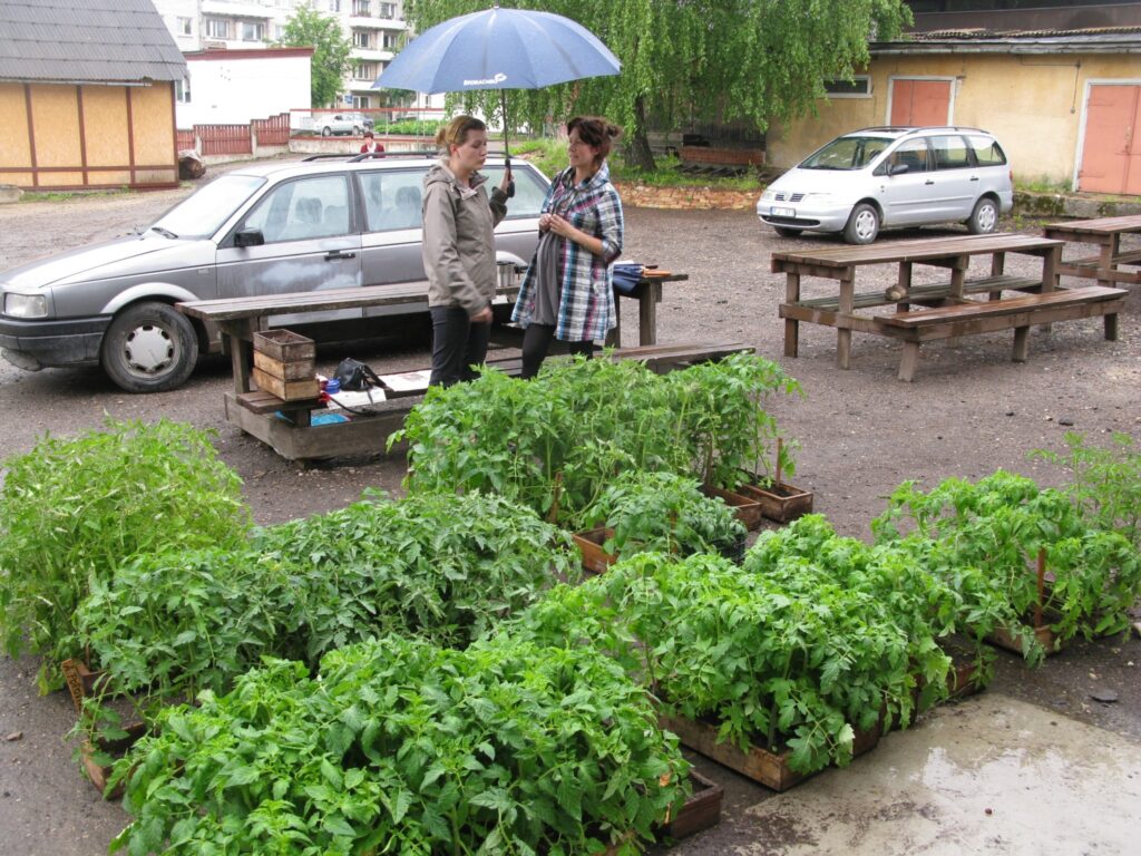  Stādu audzētāji pašvaldības lēmumu par ielu tirdziņu Smiltenē gaidīja jau vairākus gadus.
Autors: Sandra Pētersone