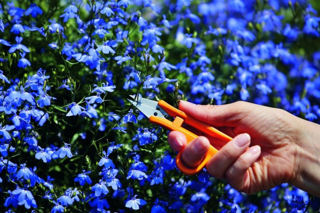 Autors: lav-lv.fiskars.com