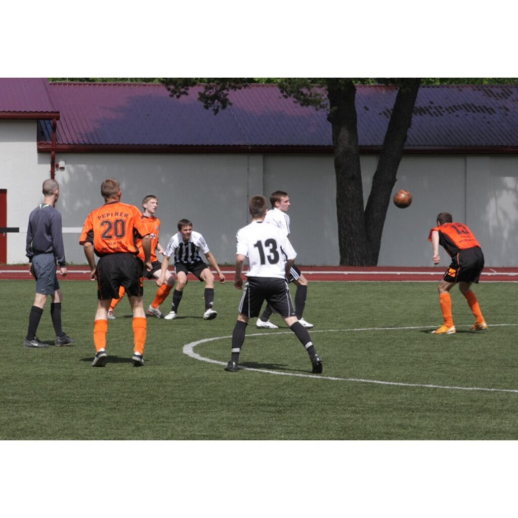 Autors: Aldis Dubļāns