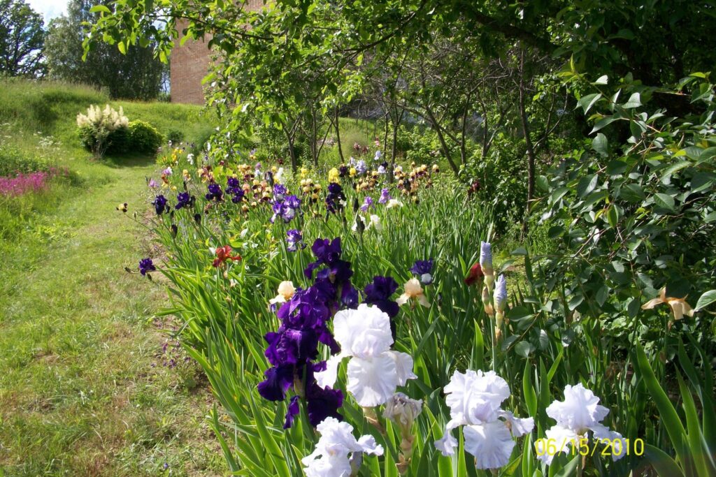 Autors: No personīgā arhīva