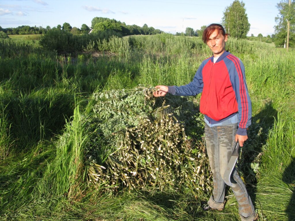 Autors: Sandra Pētersone