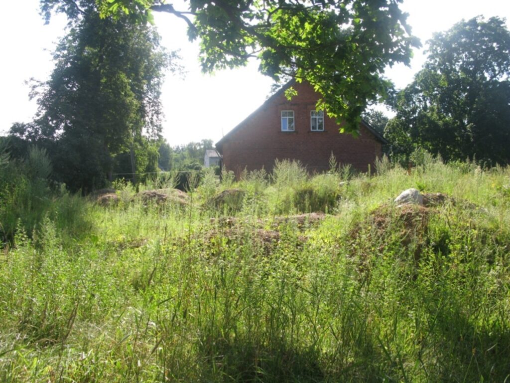 Blakus mājai esošā topošā peldbaseina teritorija arī ir ieaugusi zālē. 
Autors: Baiba Šķērīte