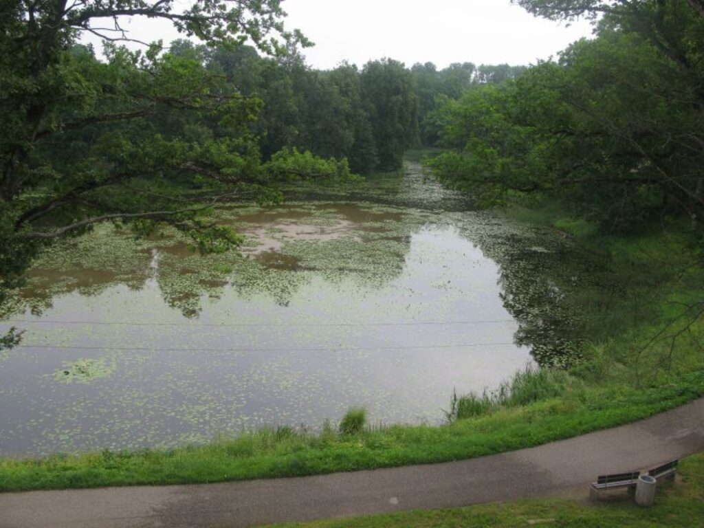 Autors: Baiba Šķērīte