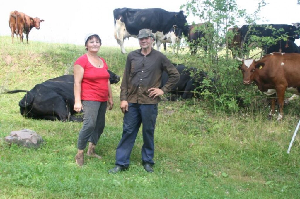 Zemnieki Vera un Māris Bettes ir parūpējušies, lai karstajā laikā govis ganībās varētu nokļūt ēnā un padzerties. 
Autors: Aivars Zilbers