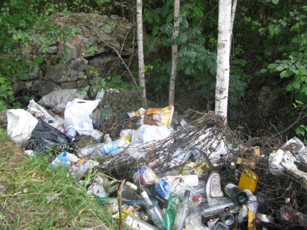 Autors: Sandra Pētersone