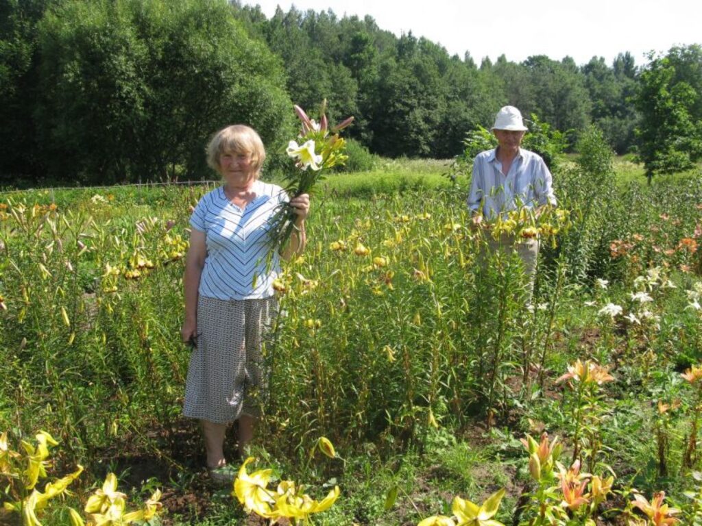 Autors: Baiba Šķērīte