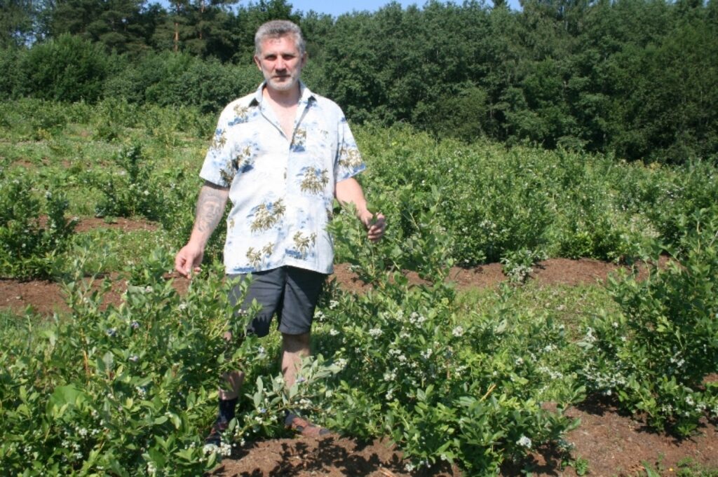 Zemnieks Edgars Irklis pēc vairāku gadu pūliņiem tikai tagad cer sagaidīt atdevi no krūmmelleņu audzēšanas.
Autors: Aivars Zilbers