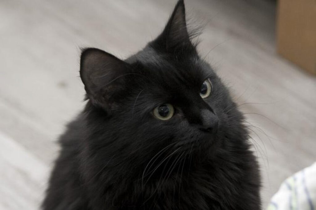 Autors: No personīgā arhīva