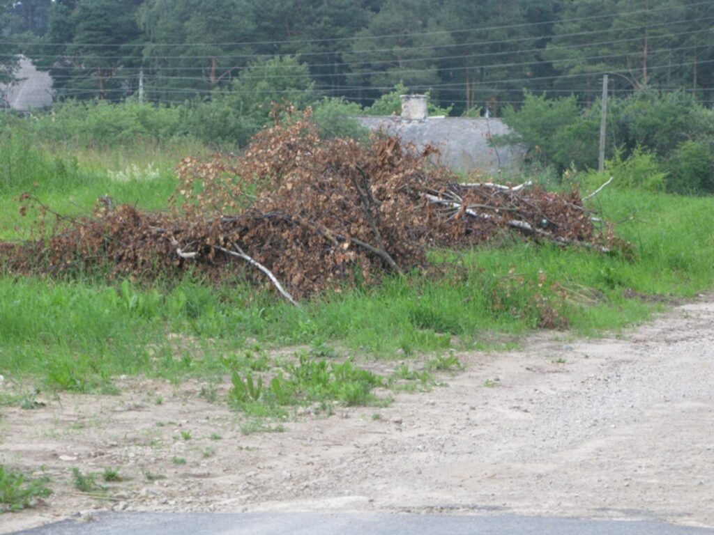 Autors: Baiba Šķērīte