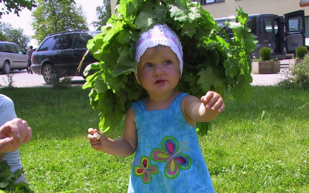 Autors: Sarmīte Ozola